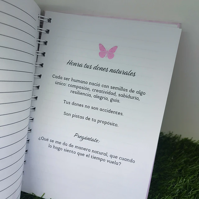 Diario Volver a ti