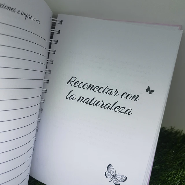 Diario Volver a ti