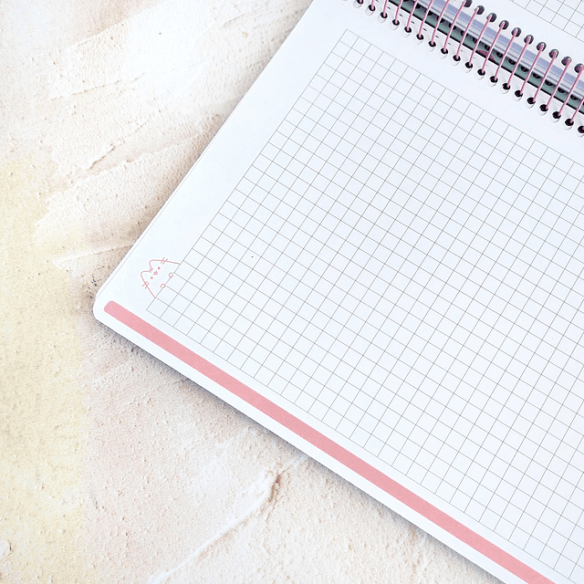 Cuaderno Carta Pusheen 3 materias 