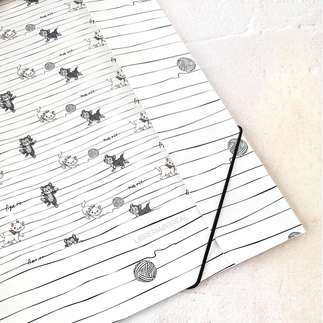 Carpeta Cats & Dogs