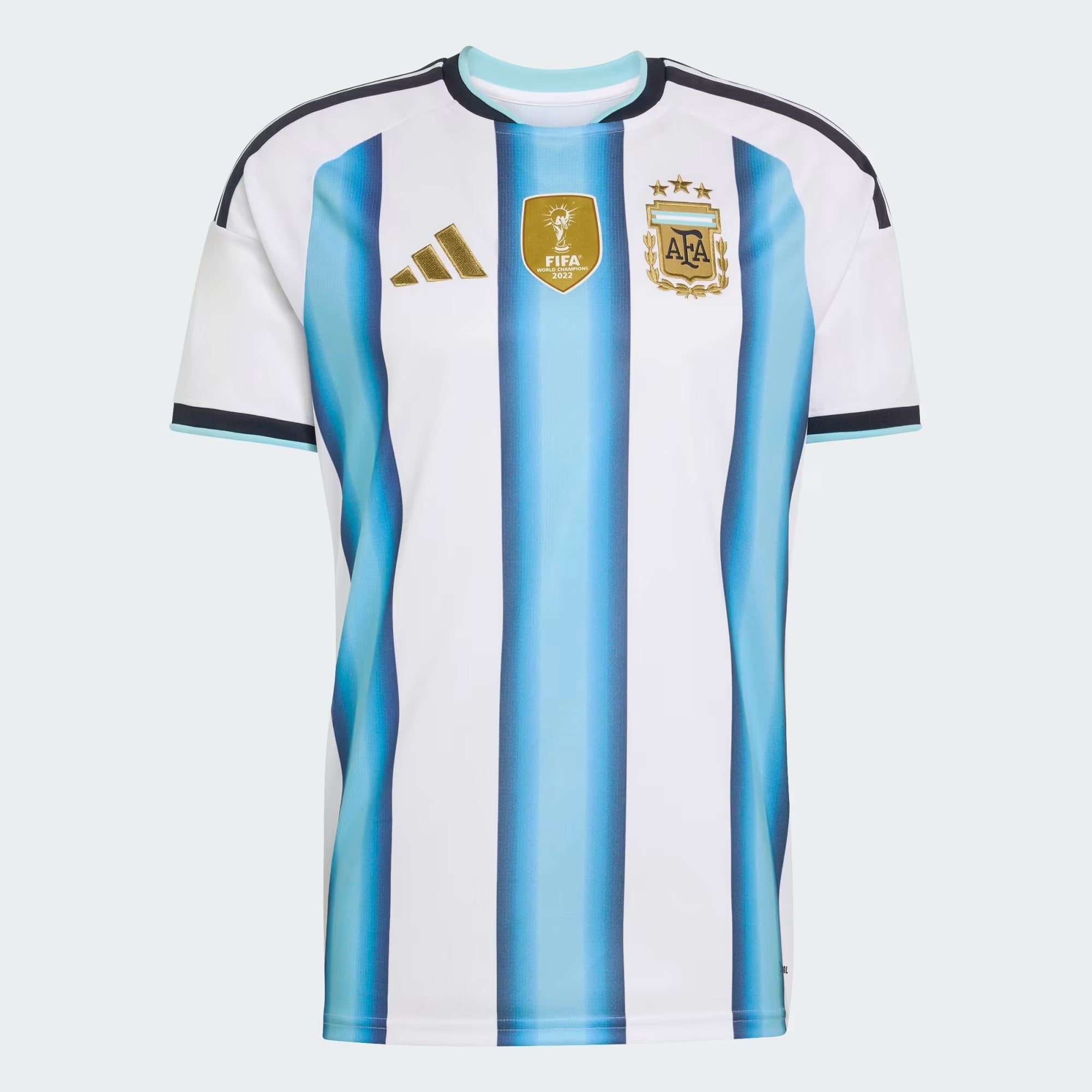 Camiseta Titular de la Selección Argentina 26 1