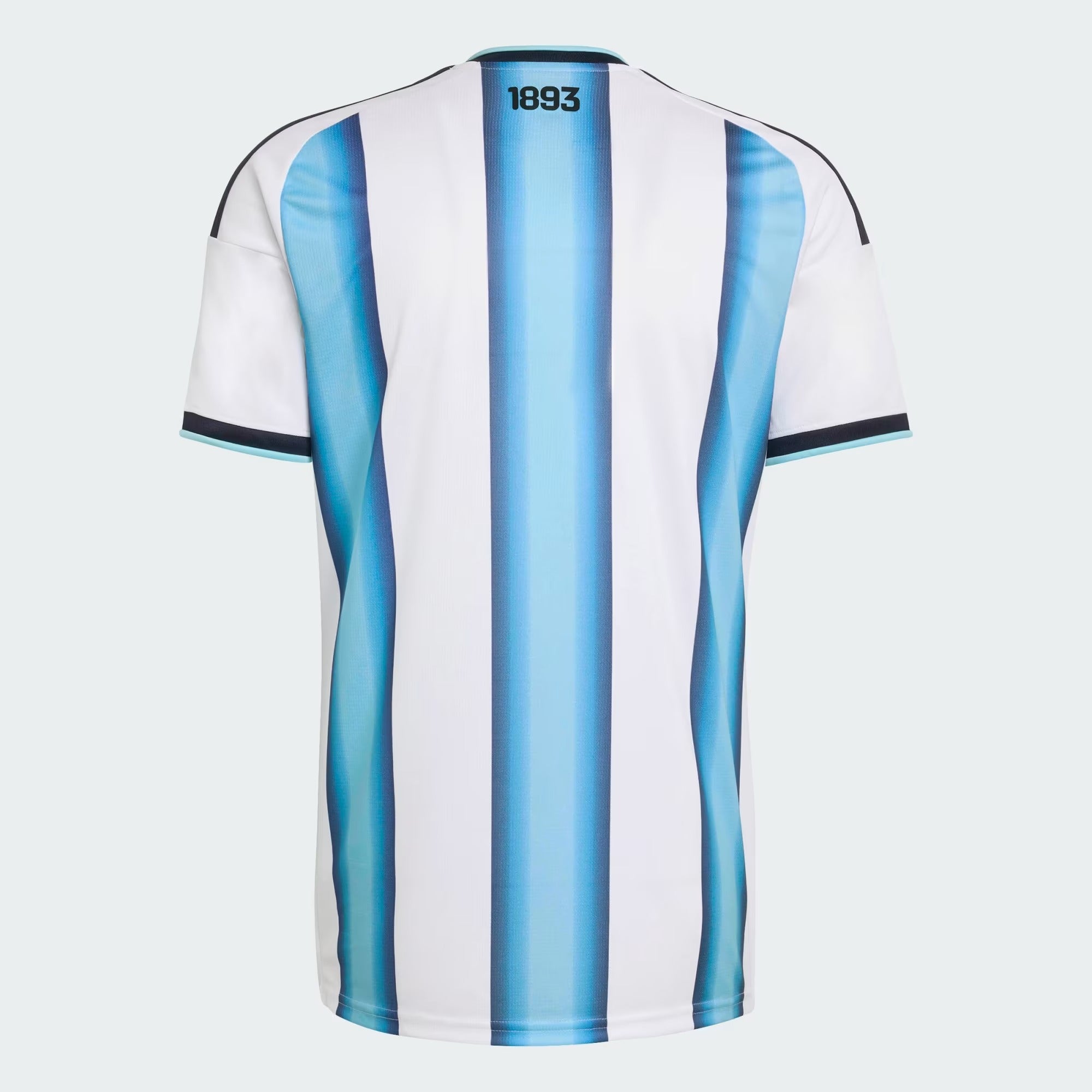 Camiseta Titular de la Selección Argentina 26 2