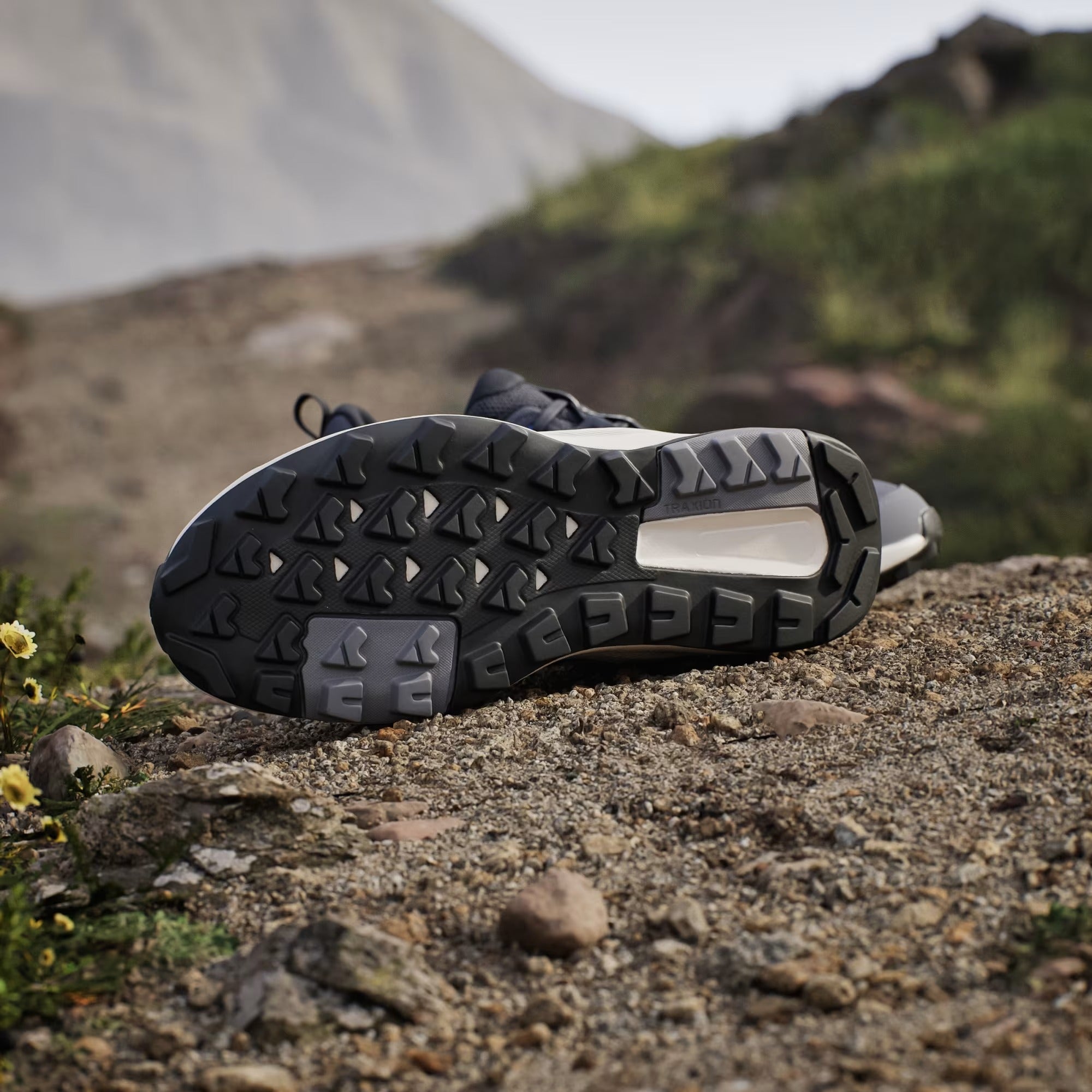 Zapatillas de Senderismo Terrex Anylander 3