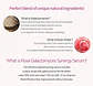 Rose Galactomyces Synergy Serum (IUNIK) - 50ml Serum 50% Galactomyces +10% Agua Rosas - Miniatura 5