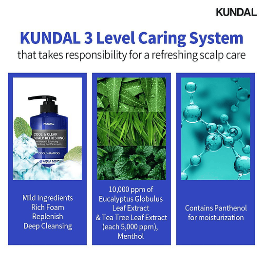 Cool & Clear Scalp Refreshing Shampoo de limpieza profunda refrescante (Kundal) 500ml