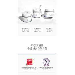 1025 Dokdo Cream (Roundlab) - 50ml Crema Hidratante Pieles sensibles 