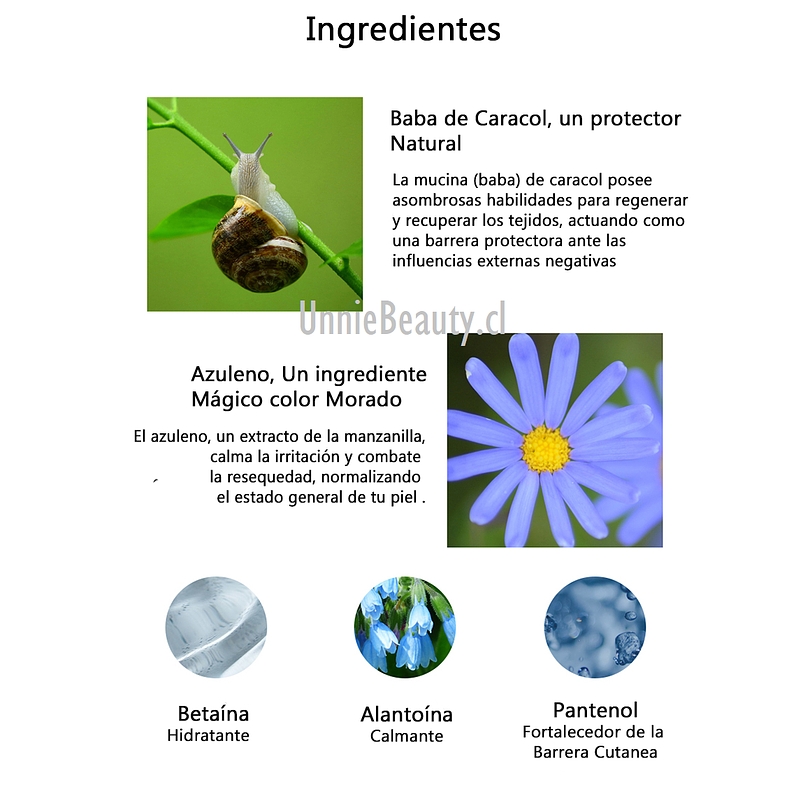 Snail & Azulene Water Essence (TIAM) - 180 ml Esencia 87% baba de caracol rosácea pieles sensibles 7