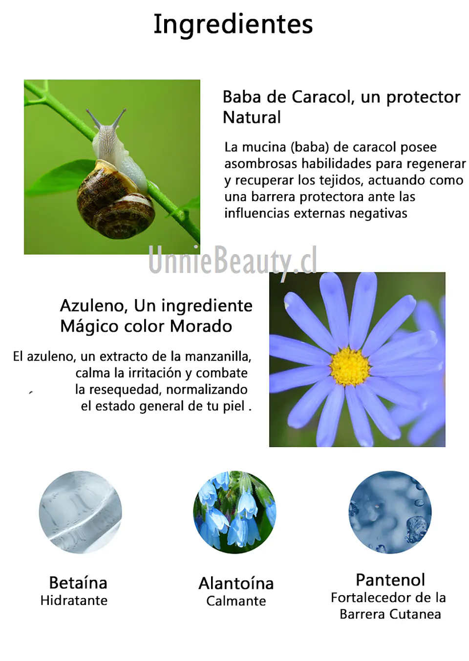 Snail & Azulene Water Essence (TIAM) - 180 ml Esencia 87% baba de caracol rosácea pieles sensibles 6