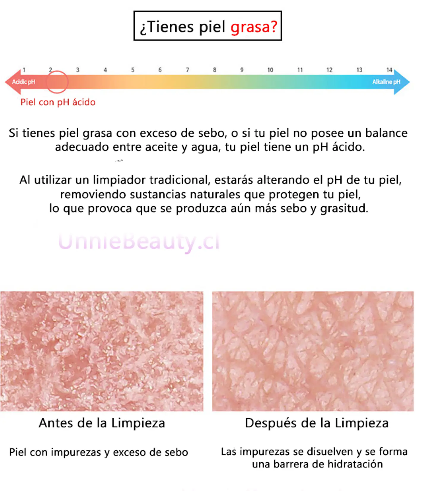 Snail & Azulene Low pH Cleanser (TIAM) -200ml  Limpiador rosácea pieles sensibles con baba de caracol y azuleno 9