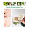 Green Tea Seed Brightening Water Cream (Farm Stay) -100ml Crema aclarante 76% té verde 