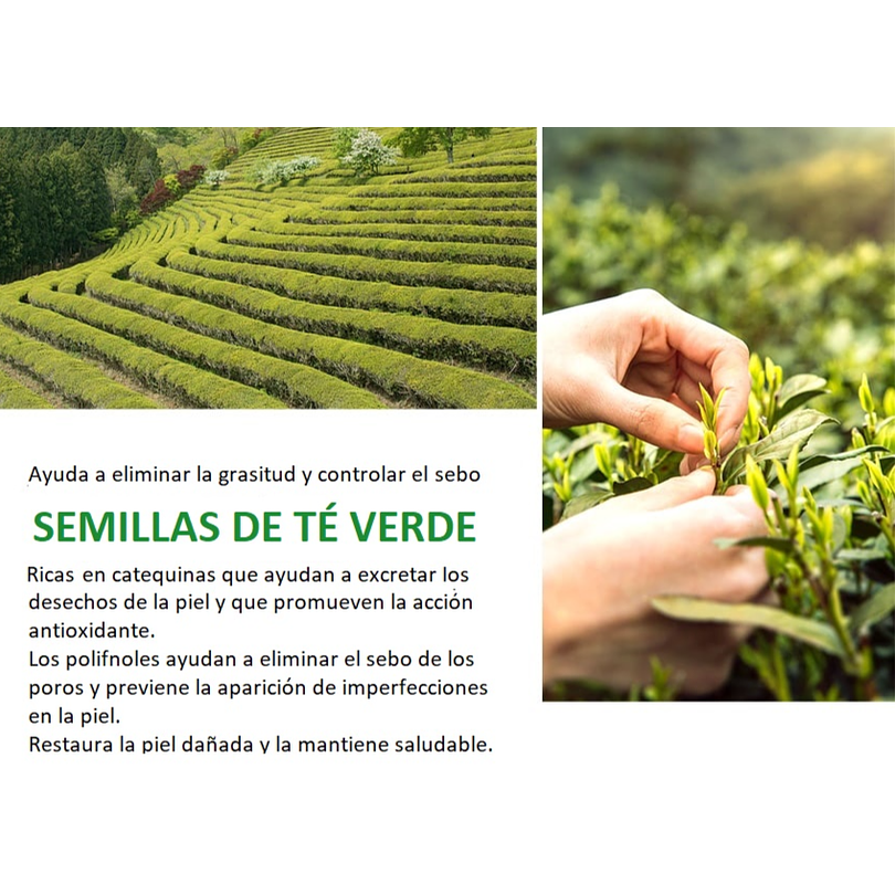Green Tea Seed Pure Cleansing Foam (Farm Stay) -180ml Espuma limpiadora pieles mixtas y grasas, 3