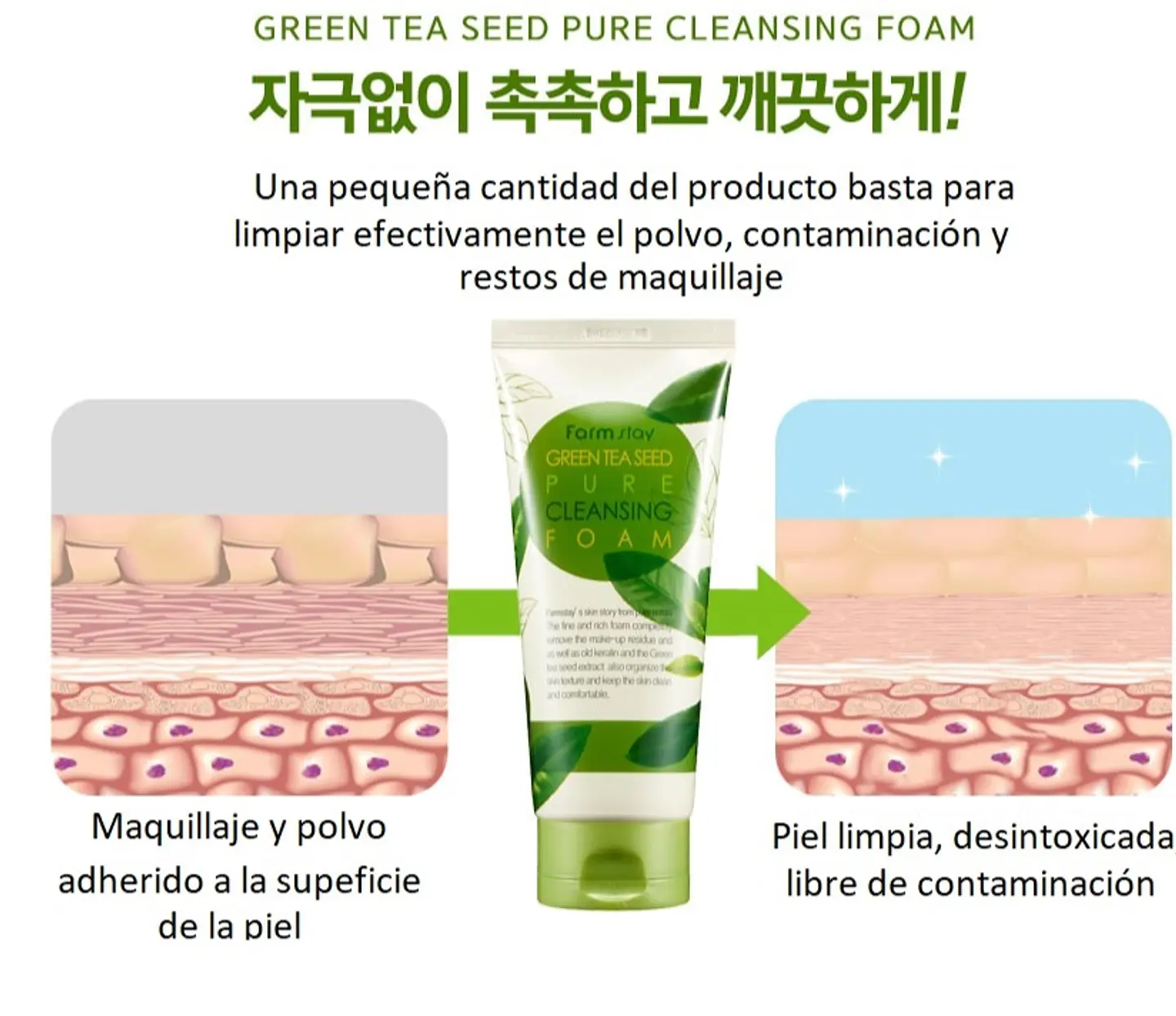 Green Tea Seed Pure Cleansing Foam (Farm Stay) -180ml Espuma limpiadora pieles mixtas y grasas, 6