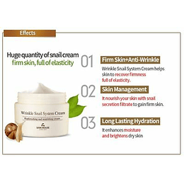 Wrinkle Snail System Cream (The Skin House) - 50 o 100 ml Crema regeneradora baba de caracol