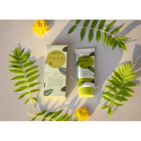 Green Tea Seed Anti Wrinkle BB Cream - 40ml (Farm Stay) 