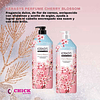 Cherry Blossom (Kerasys) - Shampoo  1 litro c/u con Aceite de Argán y Flor de Cerezo
