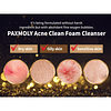 Acne Clean Foam Cleanser (Pax Moly) - 120ml Espuma Limpiadora anti acné
