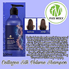 Collagen Silk Volume Shampoo (Pax Moly) - 500ml Shampoo voluminizador