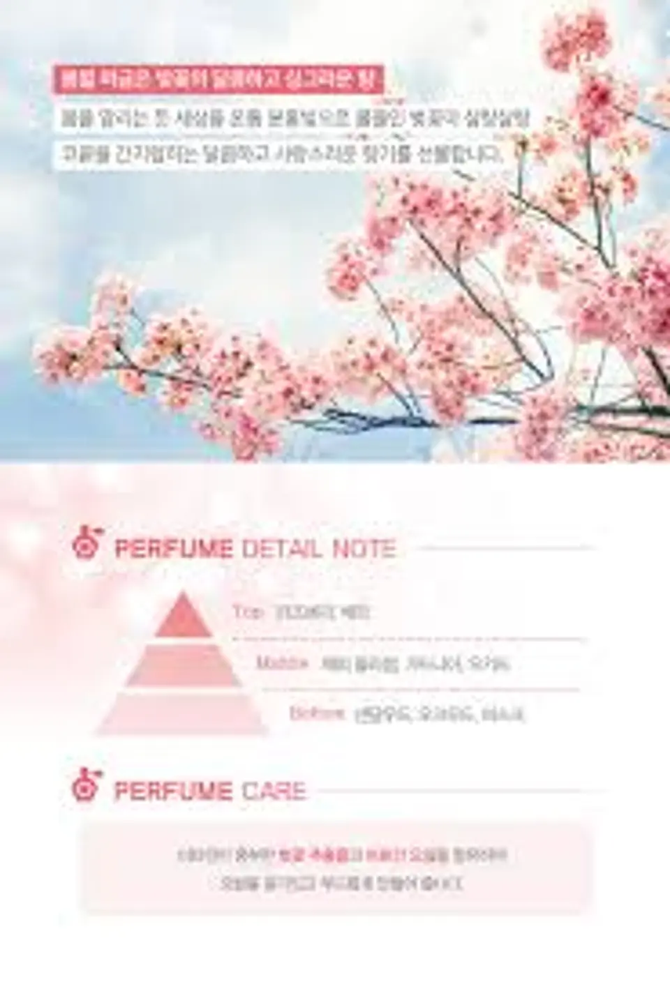 Cherry Blossom Perfumed (Kerasys) - Shampoo o Acondicionador 1 litro c/u con Aceite de Argán y Flor de Cerezo 7