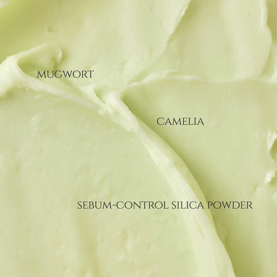 Matte Sun Stick : Mugwort + Camelia SPF 50+ PA++++ (Beauty of Joseon) 18gr Protector solar en barra matificador 8