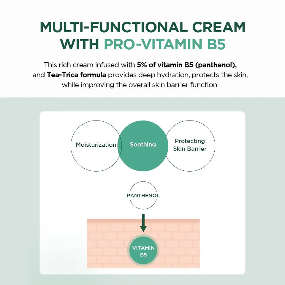 Madagascar Centella Tea-Trica B5 Cream (SKIN1004) -75ml Crema hidratante pieles problemáticcas y grasas 6
