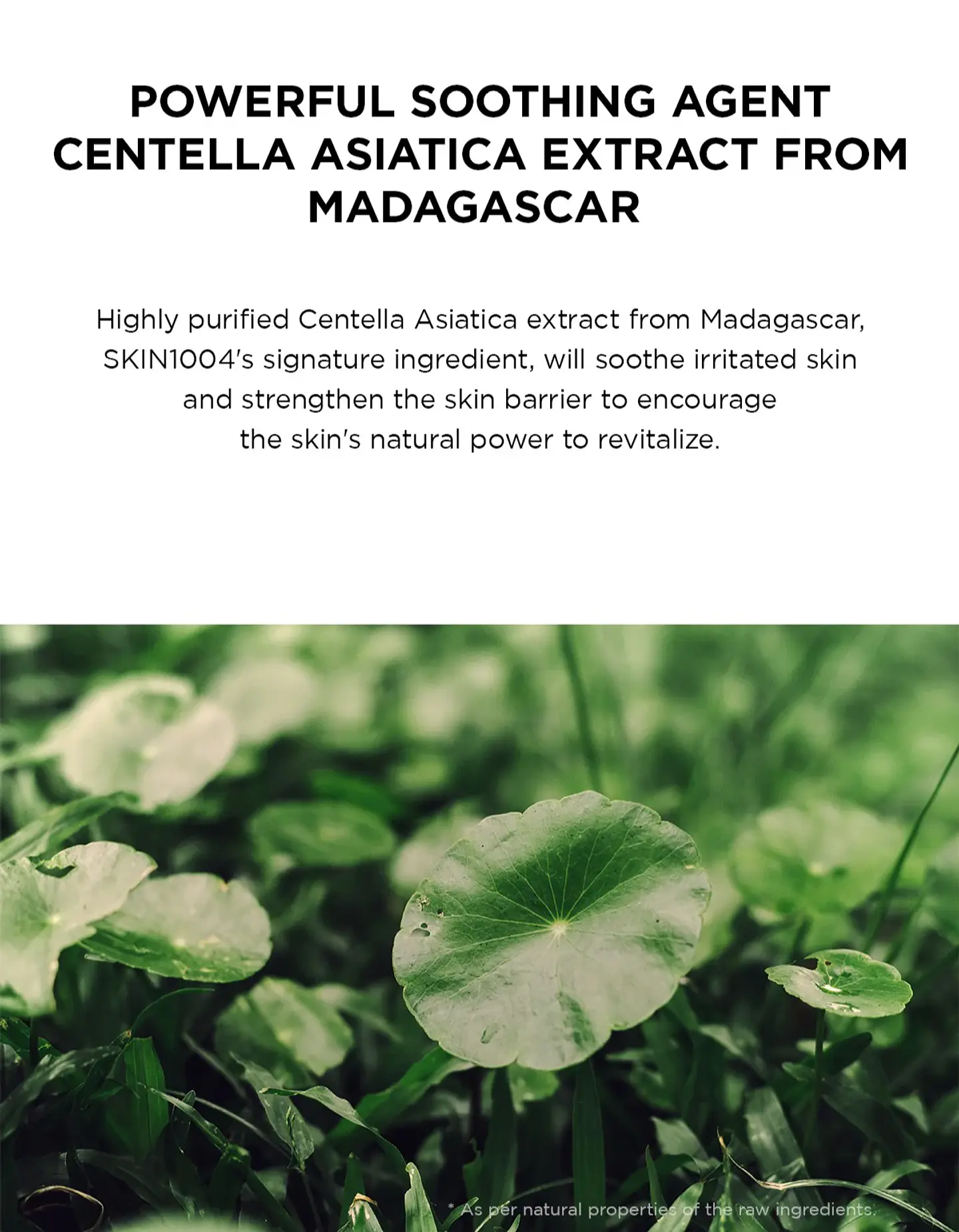 Madagascar Centella Tone Brightening Capsule Cream (SKIN1004) -75ml  Crema aclarante con niacinamida y ácido tranexámico 9