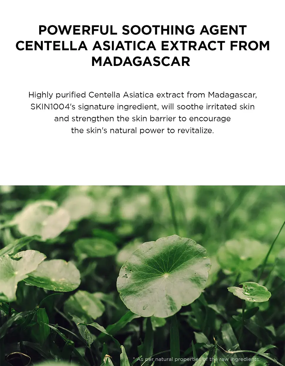 Madagascar Centella Tone Brightening Capsule Cream (SKIN1004) -75ml  Crema aclarante con niacinamida y ácido tranexámico 9