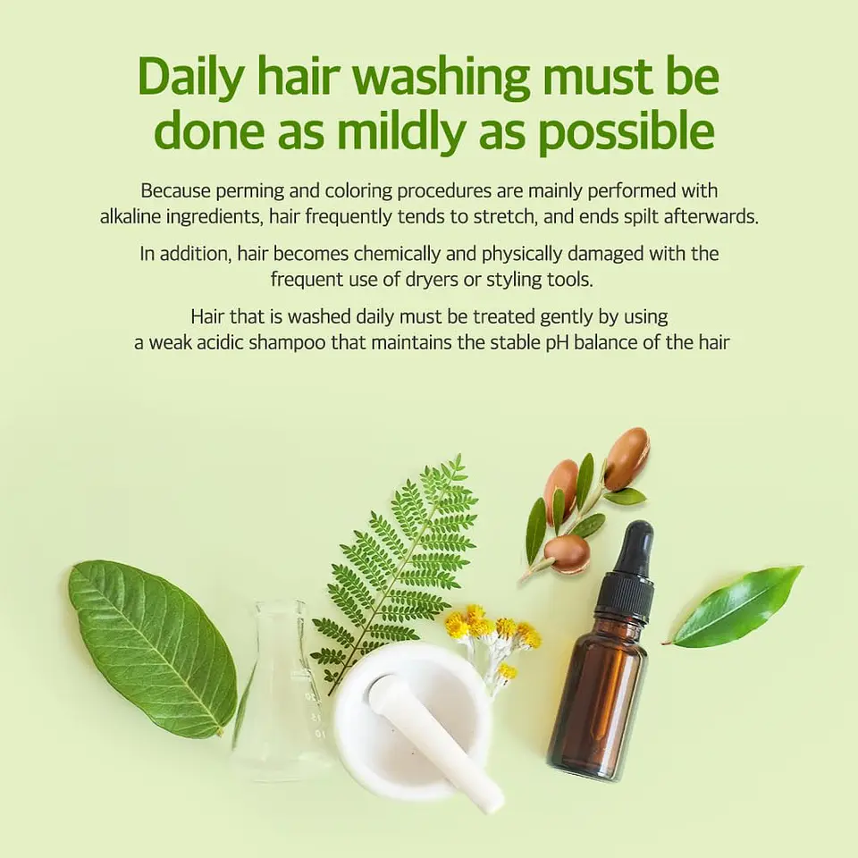 Argan Oil (Kerasys) - Shampoo o Acondicionador 1 litro c/u con Aceite de Argán 3