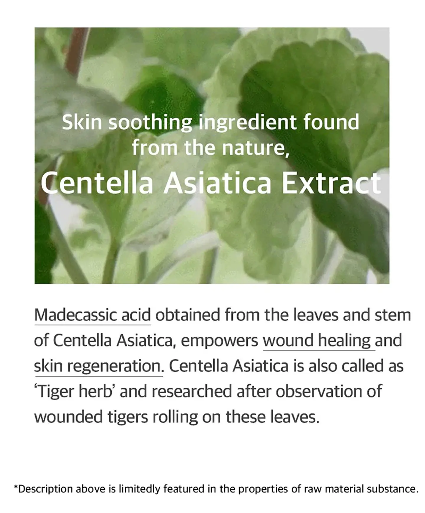 Soondy Centella Asiatica Essence (Mixsoon) - 100ml 7