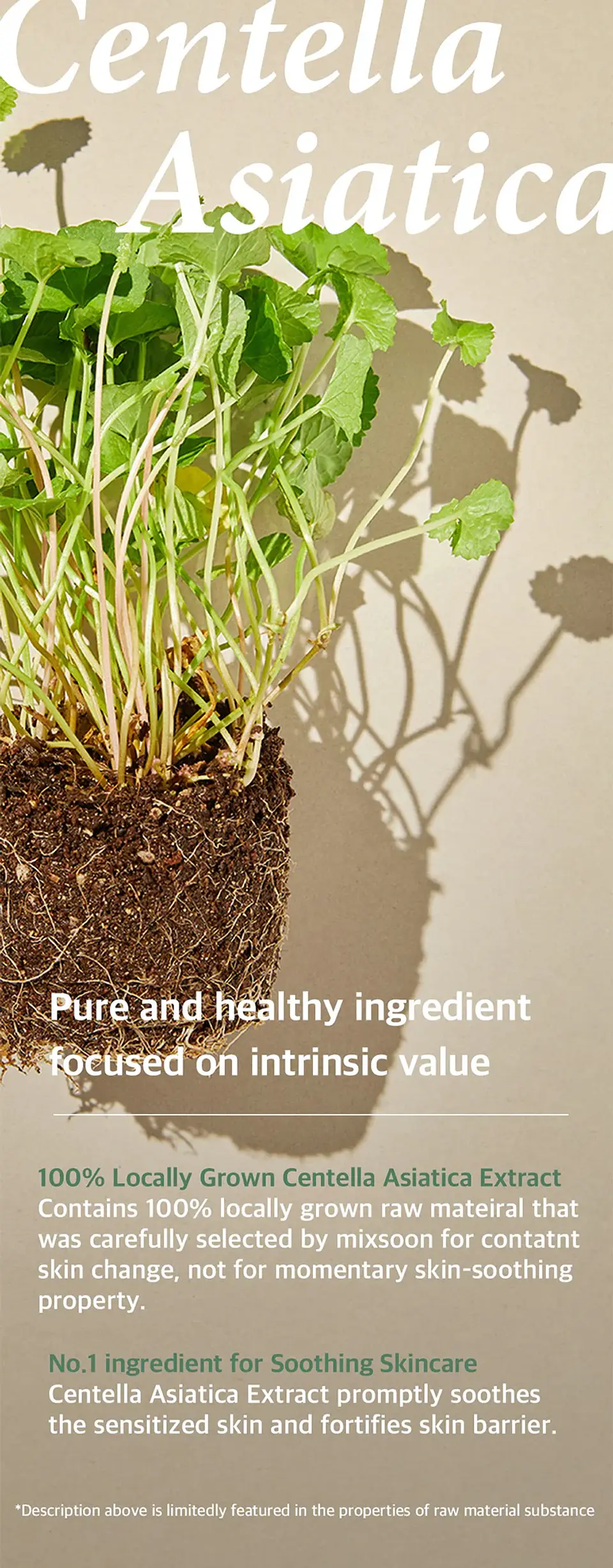 Soondy Centella Asiatica Essence (Mixsoon) - 100ml 8