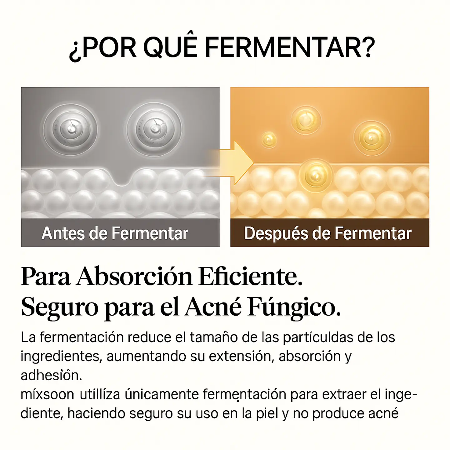 Bean Essence (Mixsoon) - 50ml Esencia antiedad y exfoliante suave con soja fermentada 8