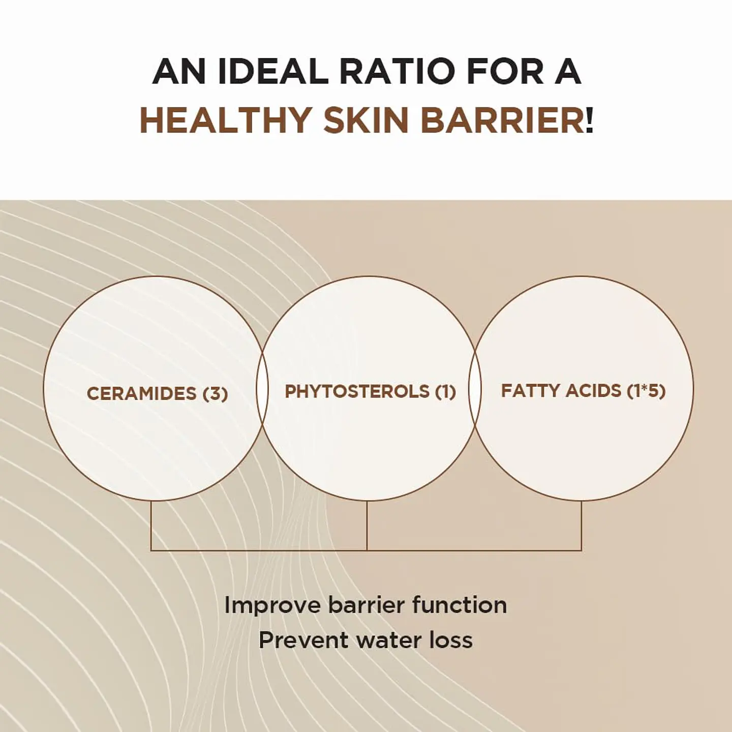 Madagascar Centella Probio-Cica Intensive Ampoule (SKIN1004) - 95ml Serum antiedad con probióticos y centella 9