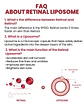 Seoul 1988 Serum: Retinal Liposome 2% + Black Ginseng (K-Secret) - 30ml  Serum antiedad con retinal y ginseng  - Miniatura 13