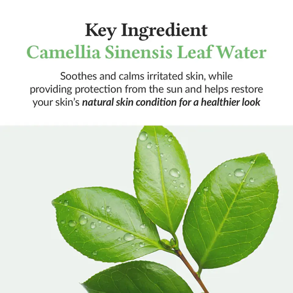 Green Tea Fresh Sunscreen (Dr.Althea) -45ml Protector solar ligero pieles mixtas y grasas con té verde 7