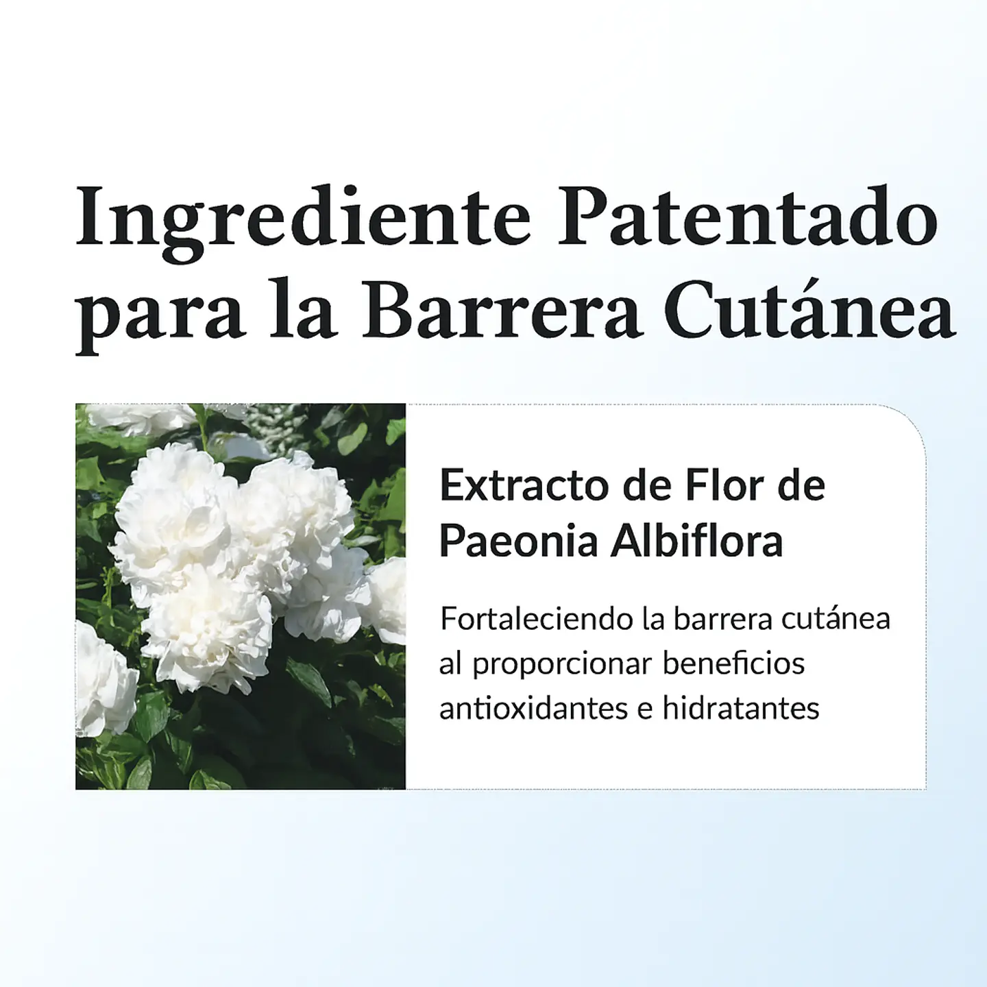 147 Barrier Cream (Dr Althea)  -Crema hidratante y reparadora para pieles sensibles  7