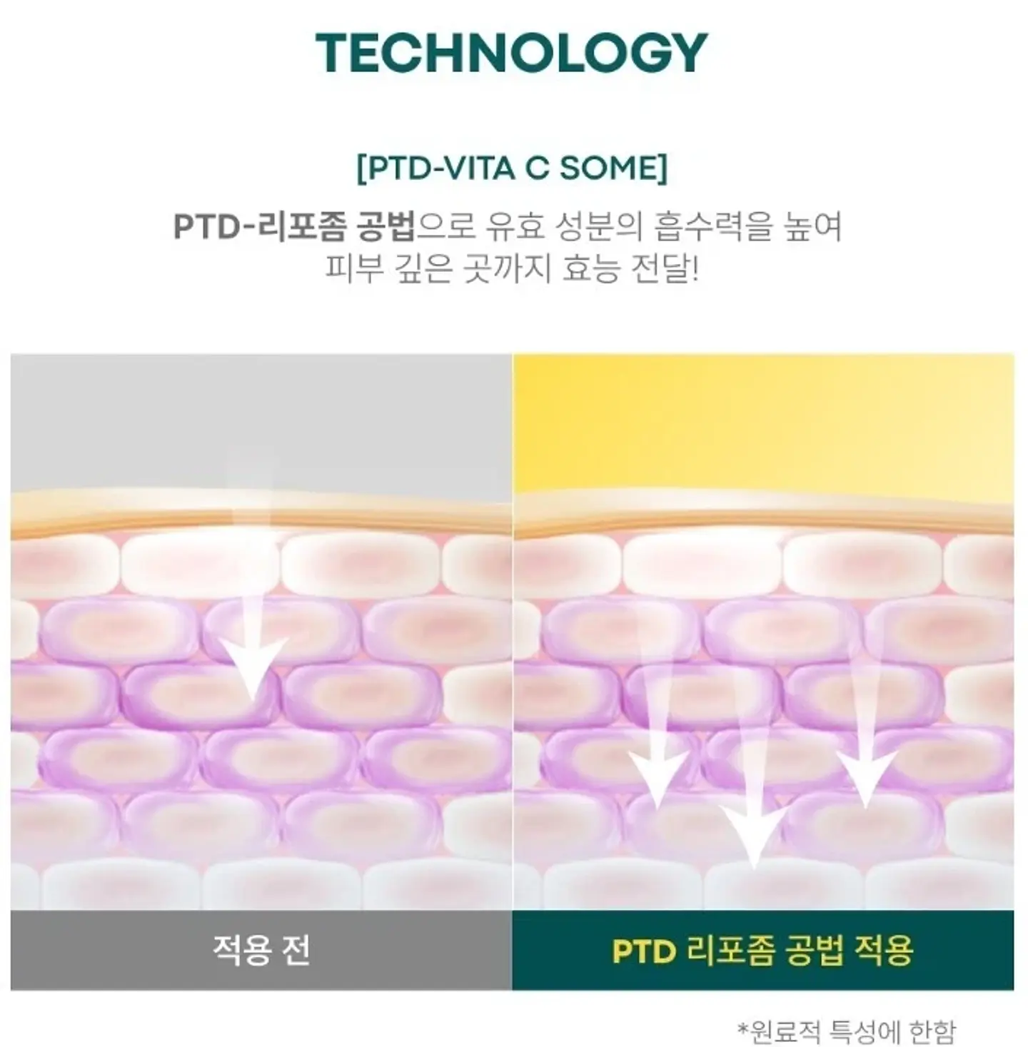 Vita C Cream (Boncept de Tonymoly) -50ml Crema iluminadora antiedad con vitamina C y retinol 7
