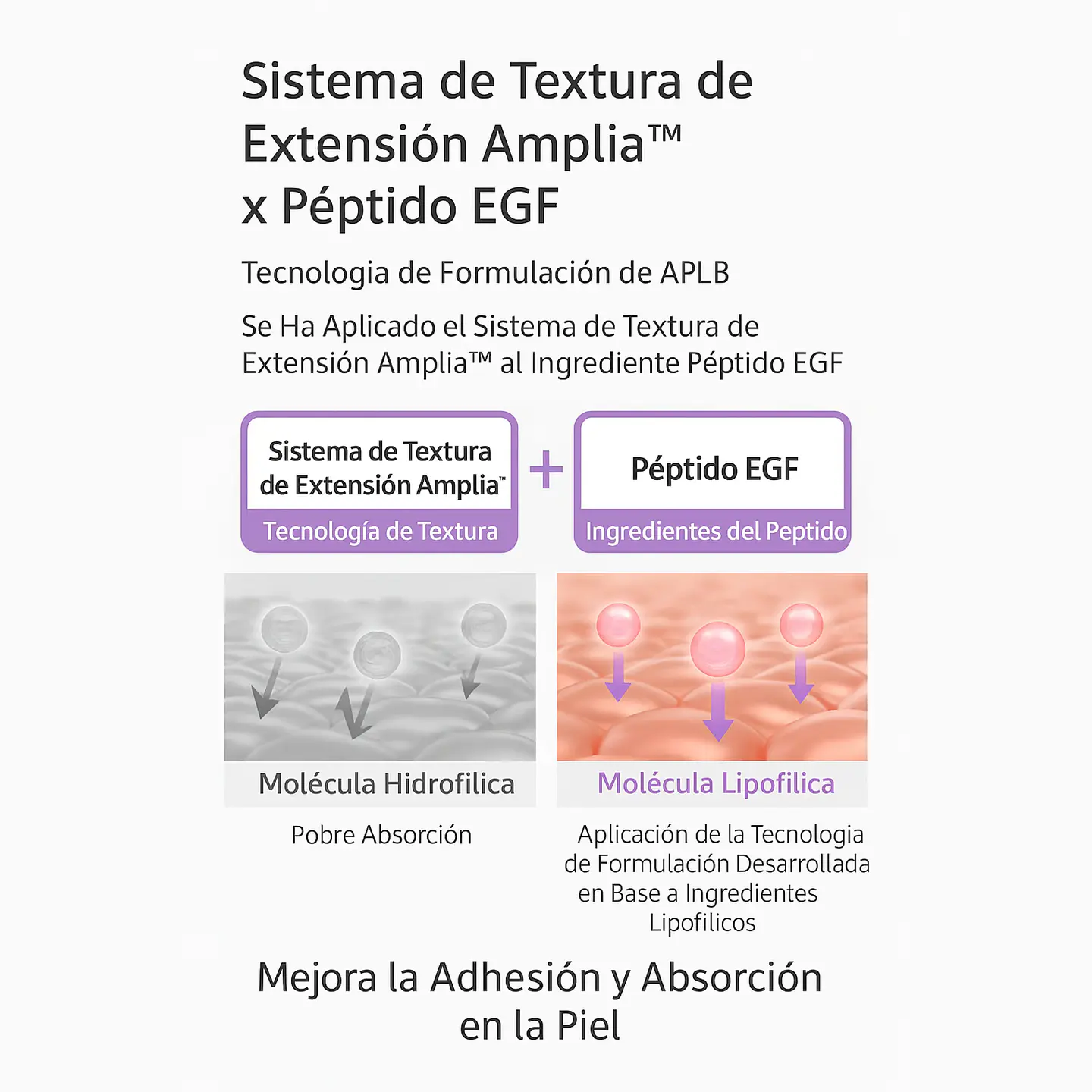 Collagen EGF Peptide Body Lotion (APLB) - 300ml Crema corporal antiedad 6