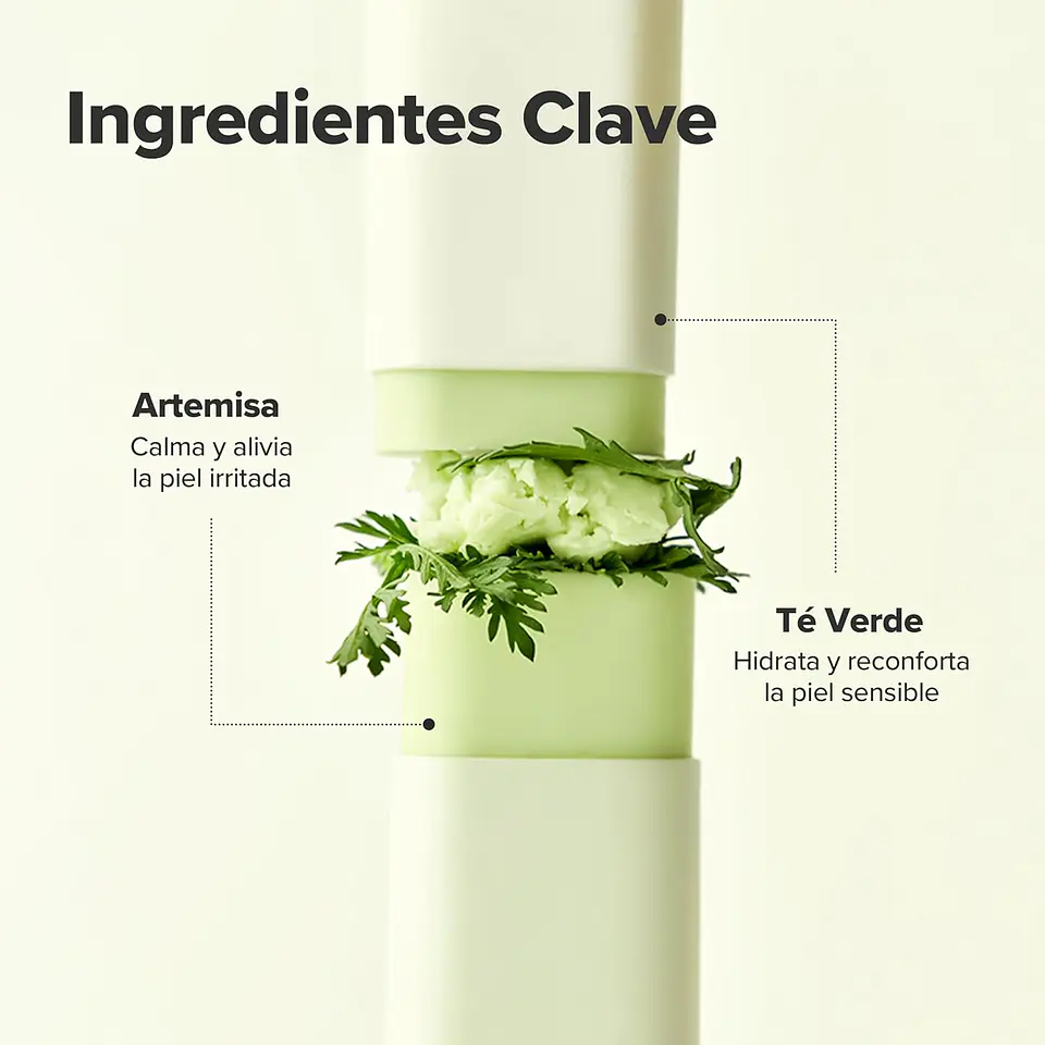 Matte Sun Stick : Mugwort + Camelia SPF 50+ PA++++ (Beauty of Joseon) 18gr Protector solar en barra matificador 5