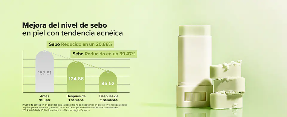 Matte Sun Stick : Mugwort + Camelia SPF 50+ PA++++ (Beauty of Joseon) 18gr Protector solar en barra matificador 13