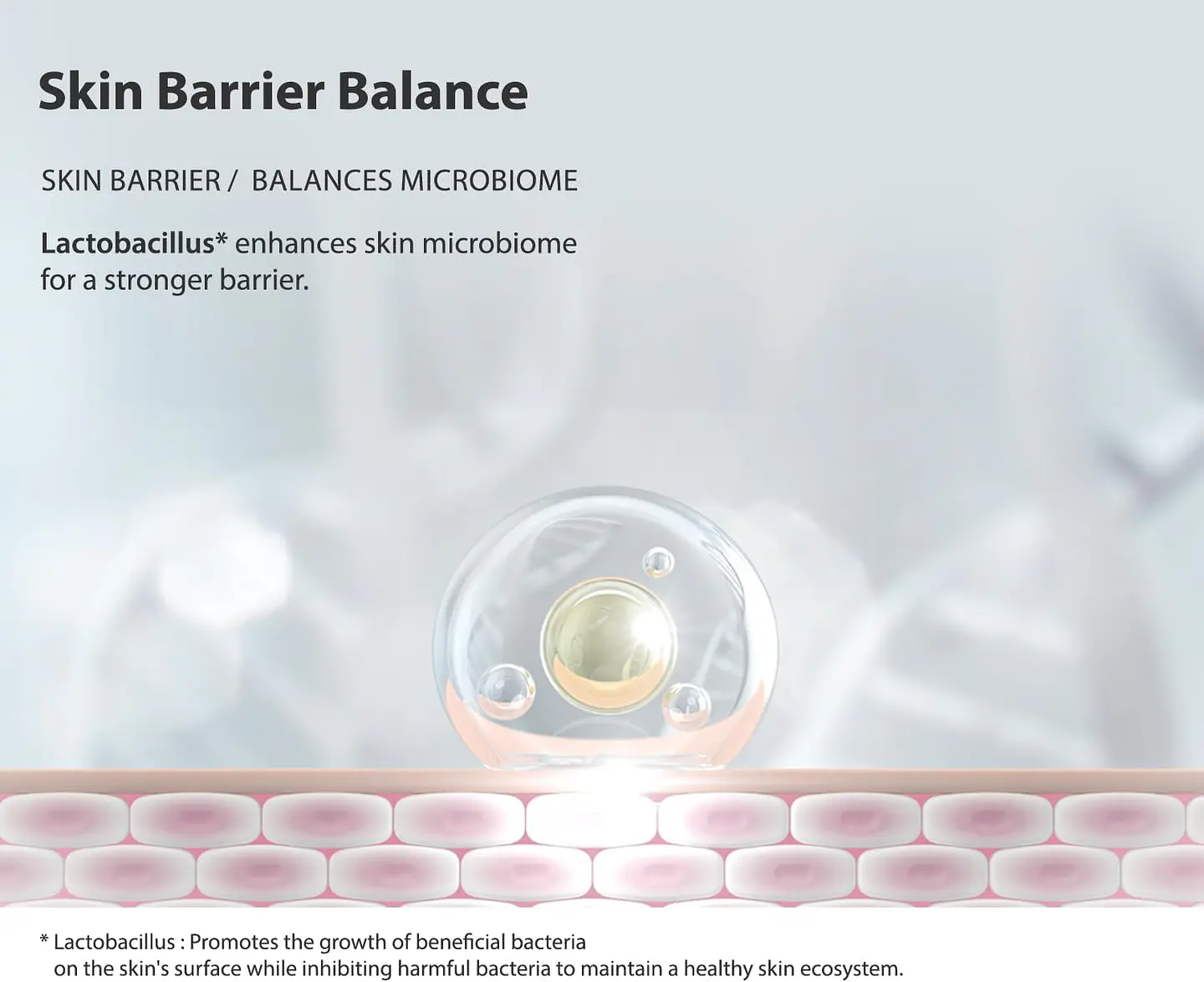 PDRN + Biome Essence Micro Spicule 100 (Wati For Skin) - 30ml Serum antiedad con colágeno, PDRN, Biomas y microagujas 4