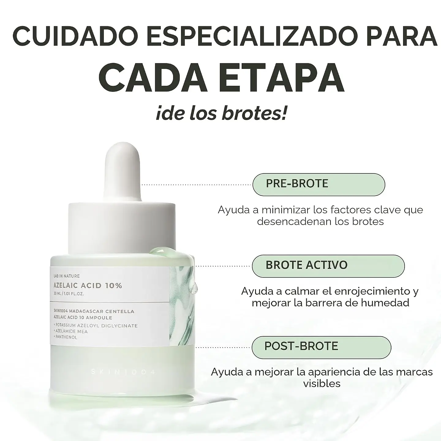 Lab in Nature Azelaic Acid 10% Ampoule (SKIN1004) -30ml Serum anti imperfeciones y rojeces con 10% de ácido azelaico 3