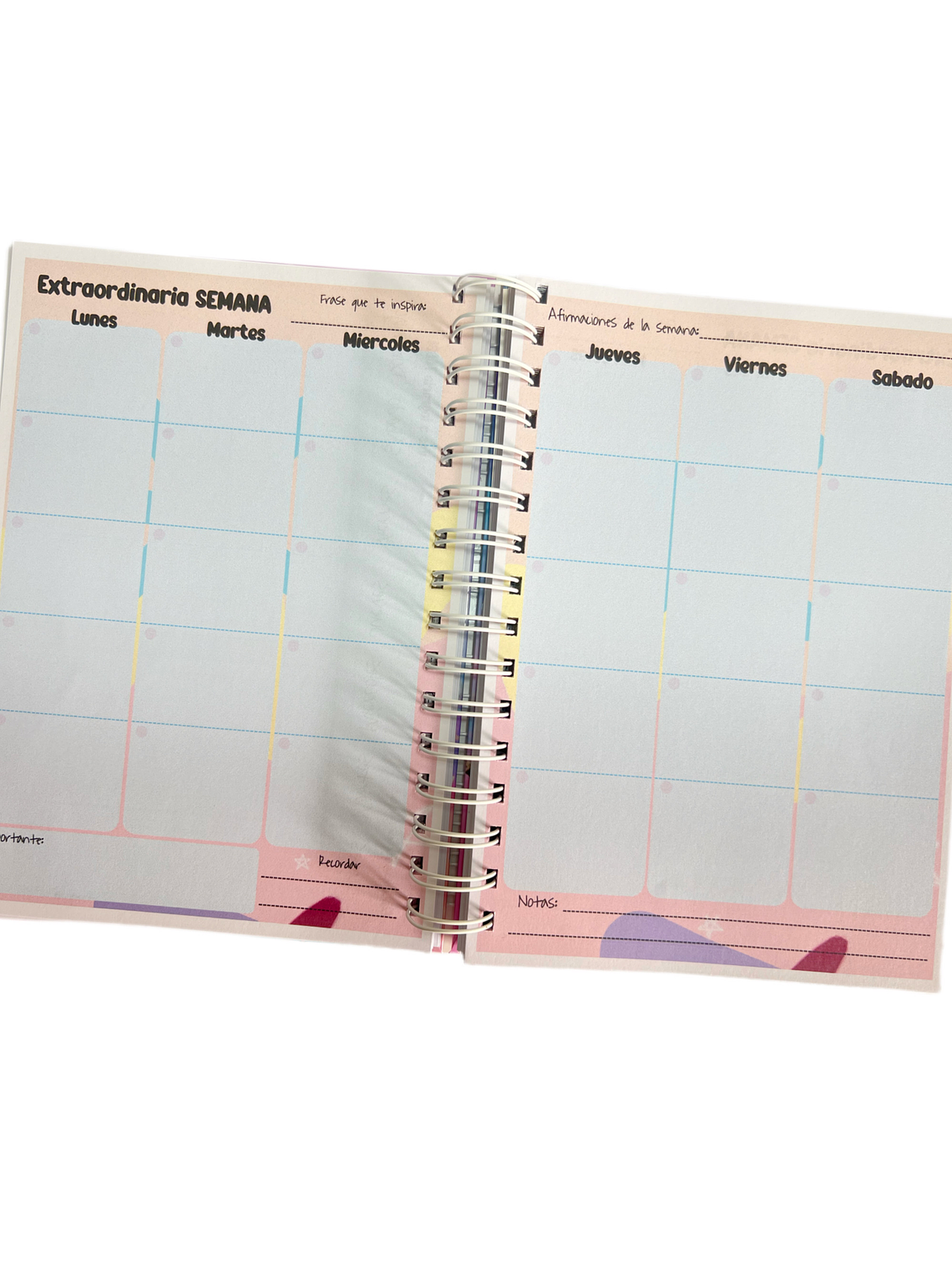 Agenda planner Universitaria ANUAL 3