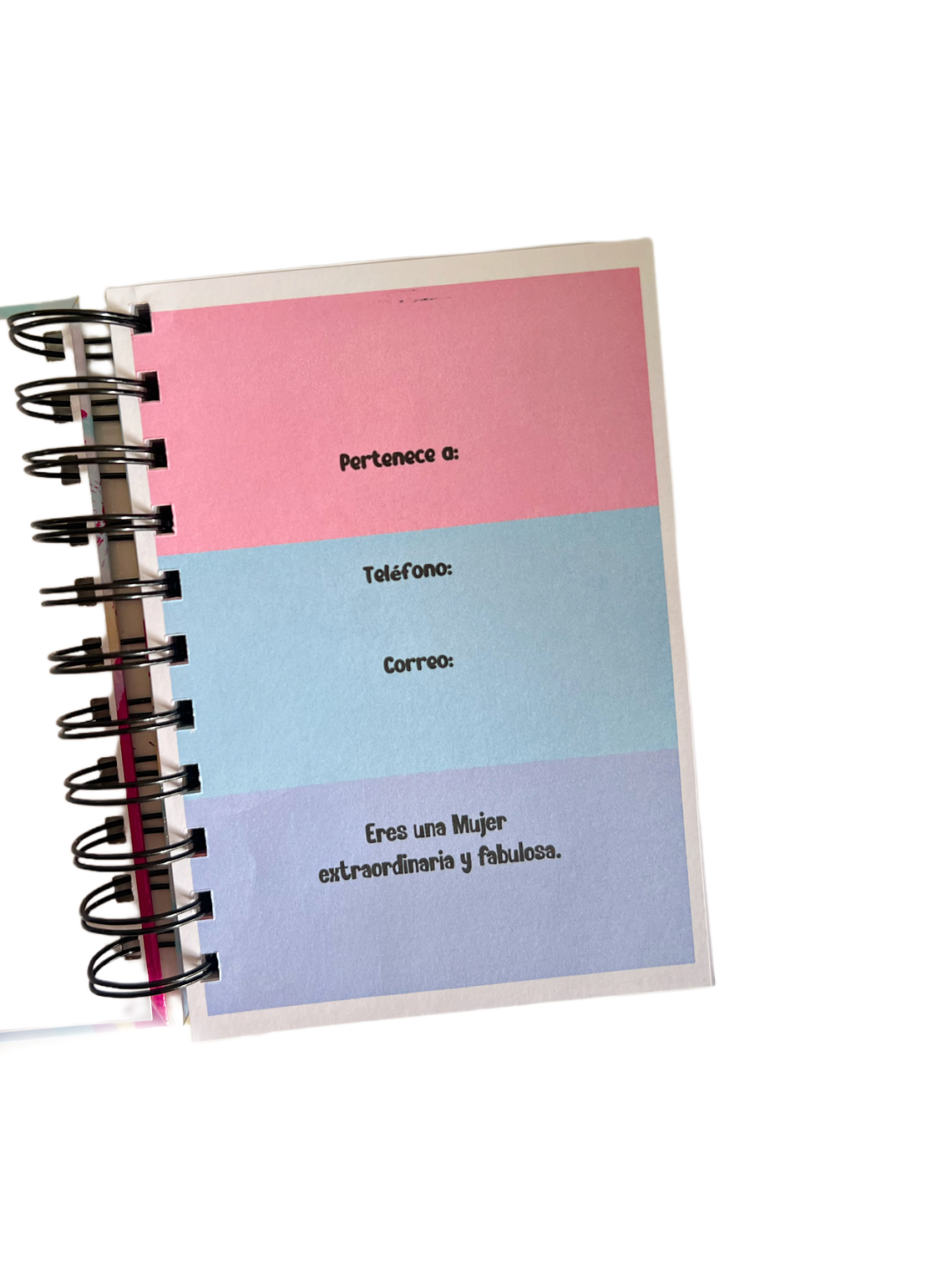 Mini agenda planner 5