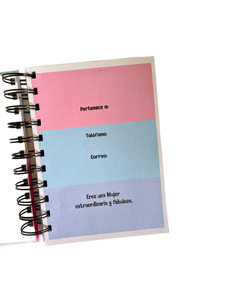 Mini agenda planner 5
