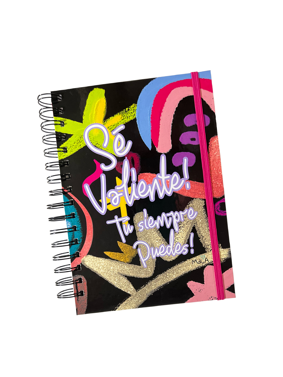 Planner de gastos y ahorros 13