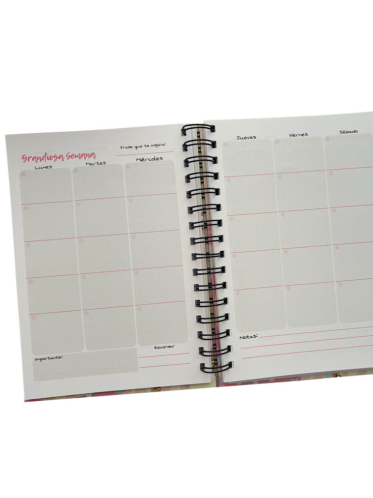 Agenda Planner Profesora / Educadora 6