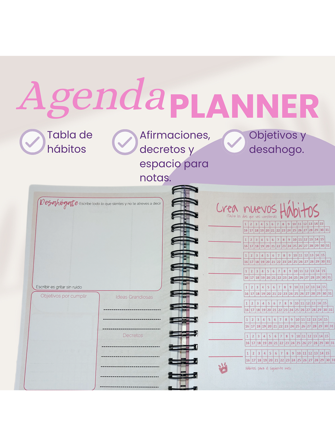 Agenda Planner Anual / Sin Fechas 5