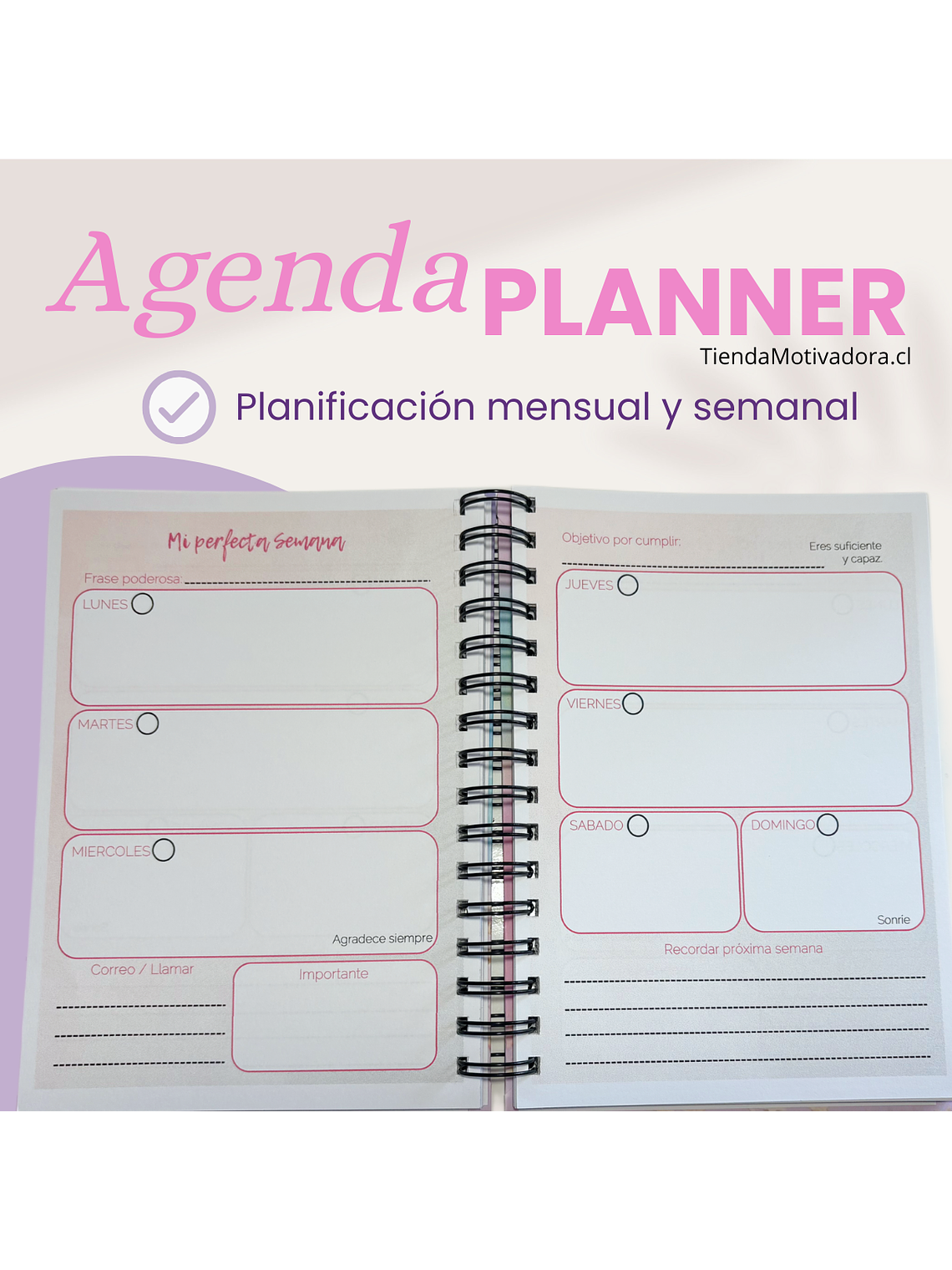 Agenda Planner Anual / Sin Fechas 3