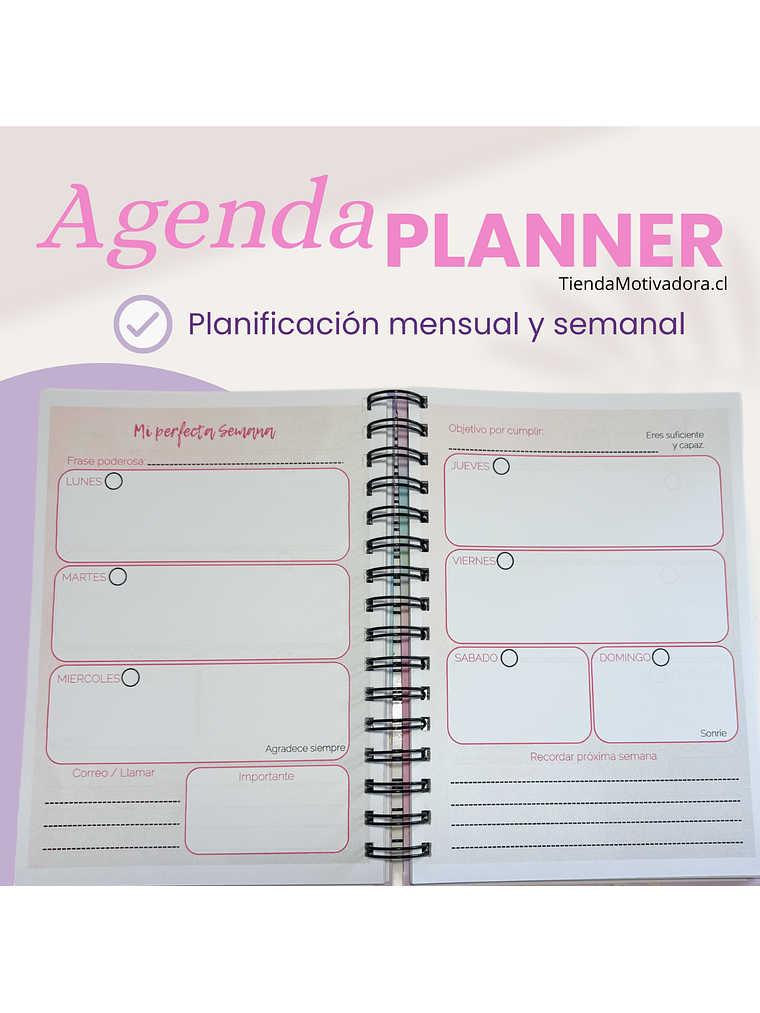 Agenda Planner Anual / Sin Fechas 3