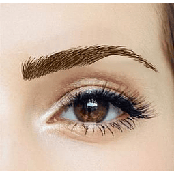 Cejas Tatuadas Adhesivas Modelo Paris brown