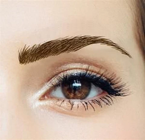 Z Cejas Tatuadas Adhesivas Modelo Paris brown